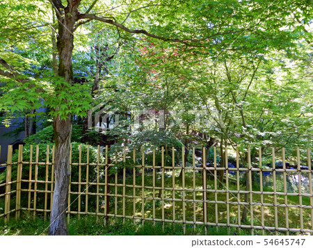 京都Eikan-do Shorin-ji寺Aomoriji 54645747