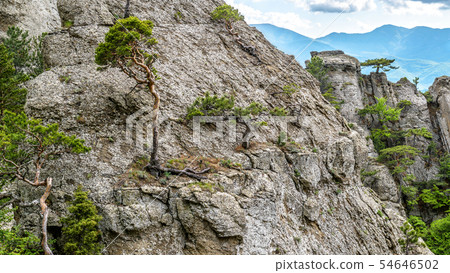 Mountain landscape of Crimea, Russia Mountain landscape of Crimea, Russia 54646502