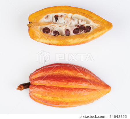 Half sliced cacao pod Half sliced cacao pod 54648833