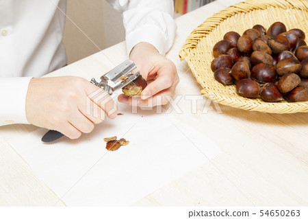 栗皮 栗皮 54650263