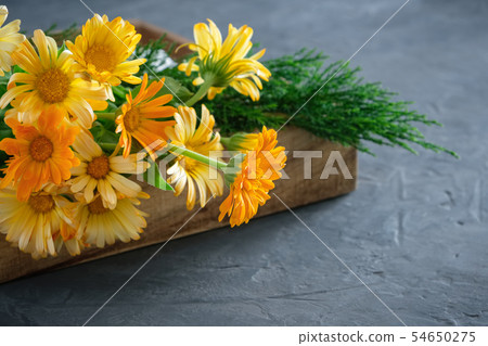 Healthy calendula or marigold flowers. Healthy calendula or marigold flowers. 54650275