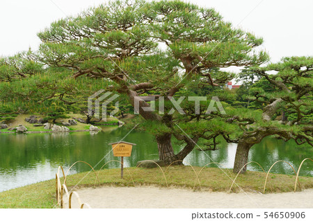 [香川縣] Kuribayashi Park 54650906