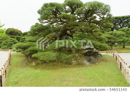 [Kagawa Prefecture] Kuribayashi Park 54651143