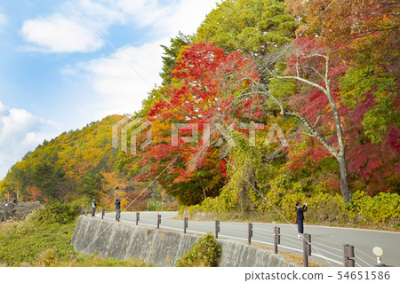富士河口湖北視圖線Momiji隧道 富士河口湖北視圖線Momiji隧道 54651586