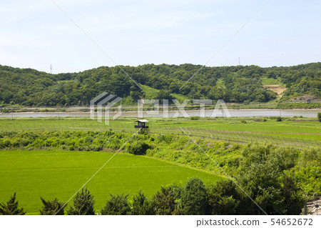Tambae，Imjingak，Paju，Gyeonggi-do，Korea 54652672
