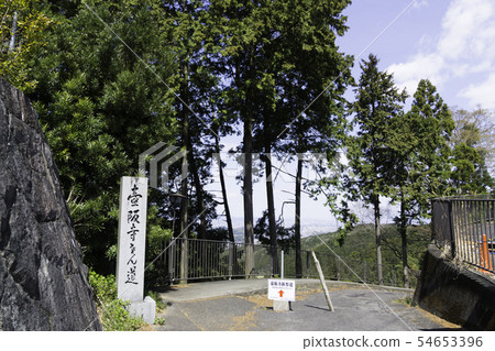 [奈良縣]大阪寺櫻花泉 54653396