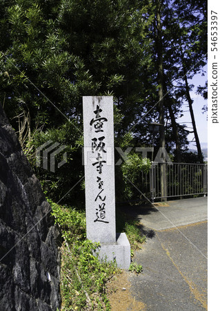 [奈良縣]大阪寺櫻花泉 54653397