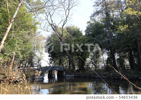 Hikawa溫泉神社Shintosen節日儀式在埼玉市Midori守衛的遺骸 Hikawa溫泉神社Shintosen節日儀式在埼玉市Midori守衛的遺骸 54653436
