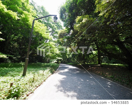 代代木公園 代代木公園 54653885