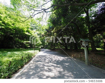 代代木公園 代代木公園 54653886
