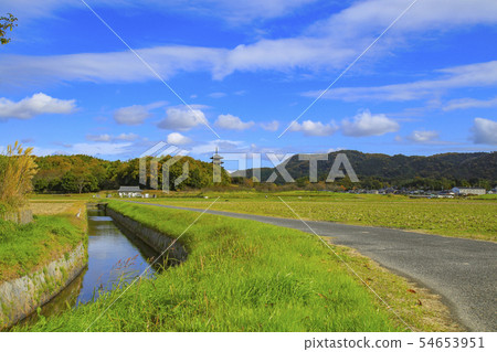 國分寺之路 54653951