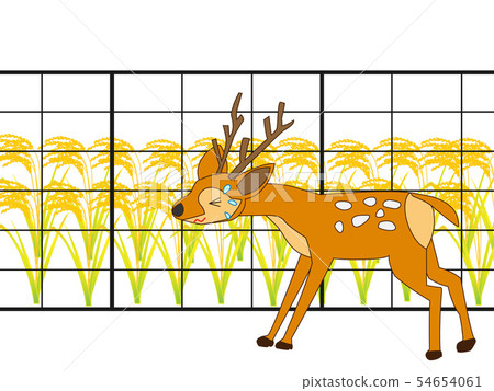 It is fenced to protect agricultural products from deer deer. 54654061