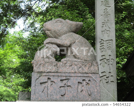 Shrine Shrine 54654322