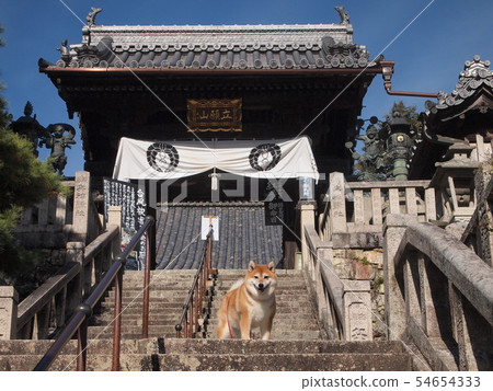 Fall of Yanagiya Kannon 54654333