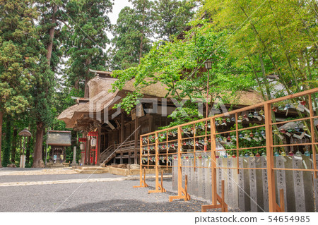 Kumano Taisha 54654985