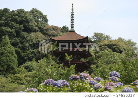Yamaguchi Rurikoji Temple Yamaguchi Rurikoji Temple 54656337