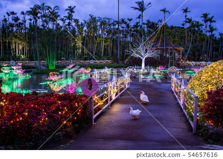 沖繩冬季東南植物園水天堂池塘照明 54657616