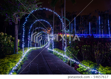 沖繩冬季東南植物園水天堂池塘照明 沖繩冬季東南植物園水天堂池塘照明 54657617