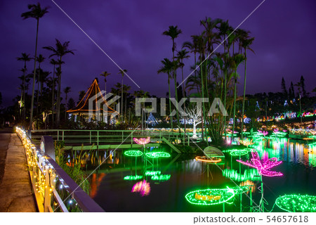 沖繩冬季東南植物園水天堂池塘照明 54657618