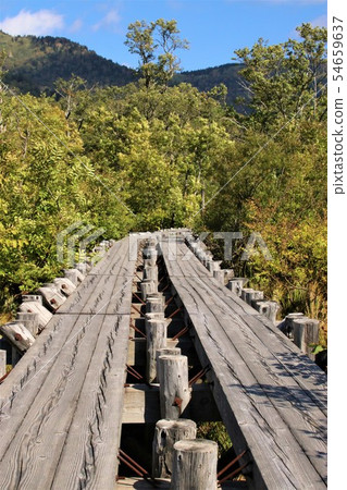 Oze's promenade 54659637