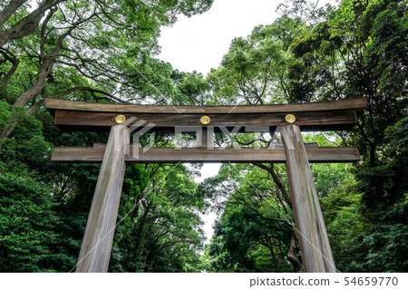 first meiji jingu torii gate first meiji jingu torii gate 54659770
