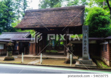 Saitama early summer Hirabayashi (Somon) 54659775