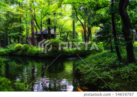 埼玉初夏Hirabayashi寺(Hoshi Pond) 埼玉初夏Hirabayashi寺(Hoshi Pond) 54659787