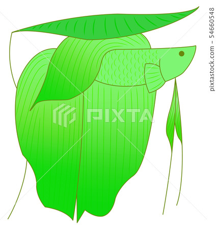Resting solid (green) 54660548