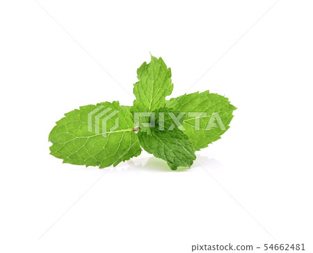 Mint leaves isolated on white background. Mint leaves isolated on white background. 54662481