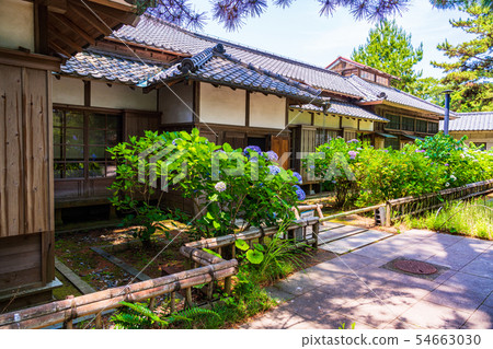 （靜岡縣）沼津皇家別墅紀念公園繡球花盛開，西附樓 54663030