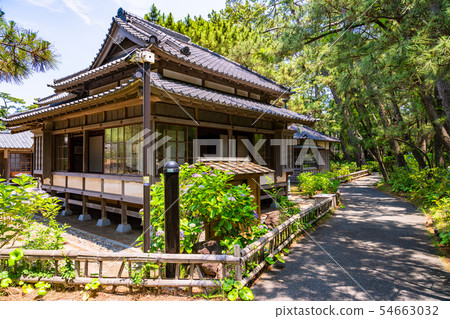 (靜岡縣)沼津皇家別墅紀念公園繡球花盛開,西附樓 (靜岡縣)沼津皇家別墅紀念公園繡球花盛開,西附樓 54663032