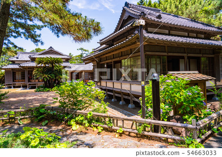 (Shizuoka Prefecture) Numazu Imperial Villa Memorial Park Hydrangea blooming, West Annexed House 54663033