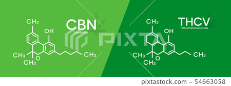 CBN and THCV formula. Cannabinol and tetrahydrocannabivarin molecule structure. 54663058