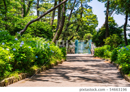 (靜岡縣)沼津溫泉紀念公園走道 (靜岡縣)沼津溫泉紀念公園走道 54663196