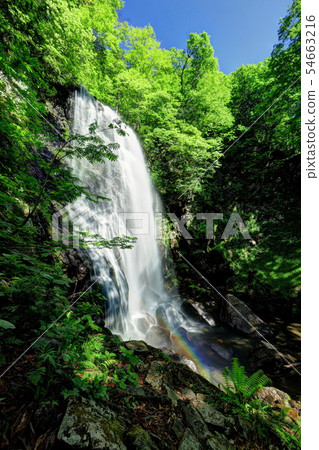 Onogawa immobile waterfall Onogawa immobile waterfall 54663216