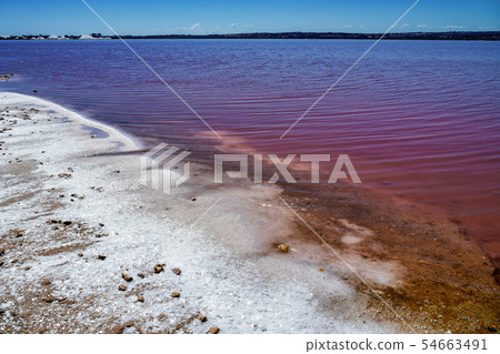 Laguna Salada in Torrevieja, Spain. Pink Salted lake. Salinas Natural Park. 54663491
