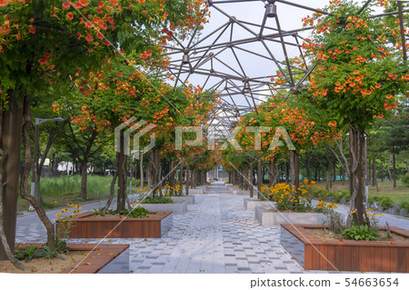 京畿道富川市Jaksohwa 京畿道富川市Jaksohwa 54663654