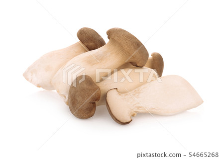 king oyster mushroom isolated on white background 54665268