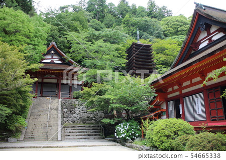 津山神社 津山神社 54665338