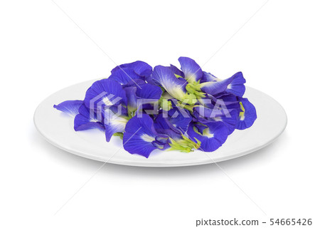 butterfly pea, blue pea, or asian pigeonwings butterfly pea, blue pea, or asian pigeonwings 54665426