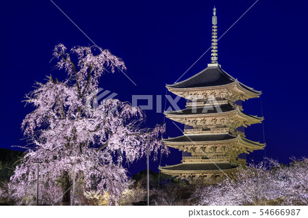 Toji Light Up Toji Light Up 54666987