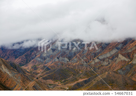 Foggy photo of mountains with green vegetation, tree,cloudy gloomy sky 54667031