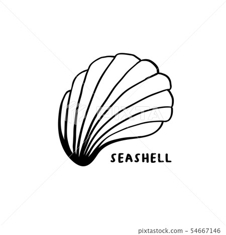 Angular murex conch hand drawn ink pen sketch 54667146