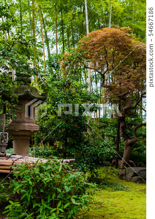 Japanese culture Fresh green ground temple Japanese culture Fresh green ground temple 54667186
