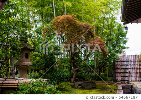 Japanese culture Fresh green ground temple Japanese culture Fresh green ground temple 54667187