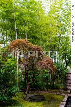 Japanese culture Fresh green ground temple Japanese culture Fresh green ground temple 54667189