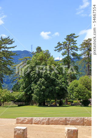 Near the last trace of Tokugawa Ieyasu in Sekigahara 54667554