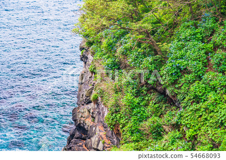 [Shizuoka Prefecture] Hydrangea blooming on Izu Jogasaki, Kadowaki Suspension Bridge and cliffs 54668093