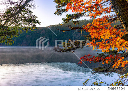 早晨日出的秋天白色池塘[長野縣] 54668304