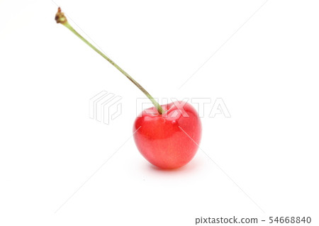 Cherry Sato Nishiki Cherry Sato Nishiki 54668840